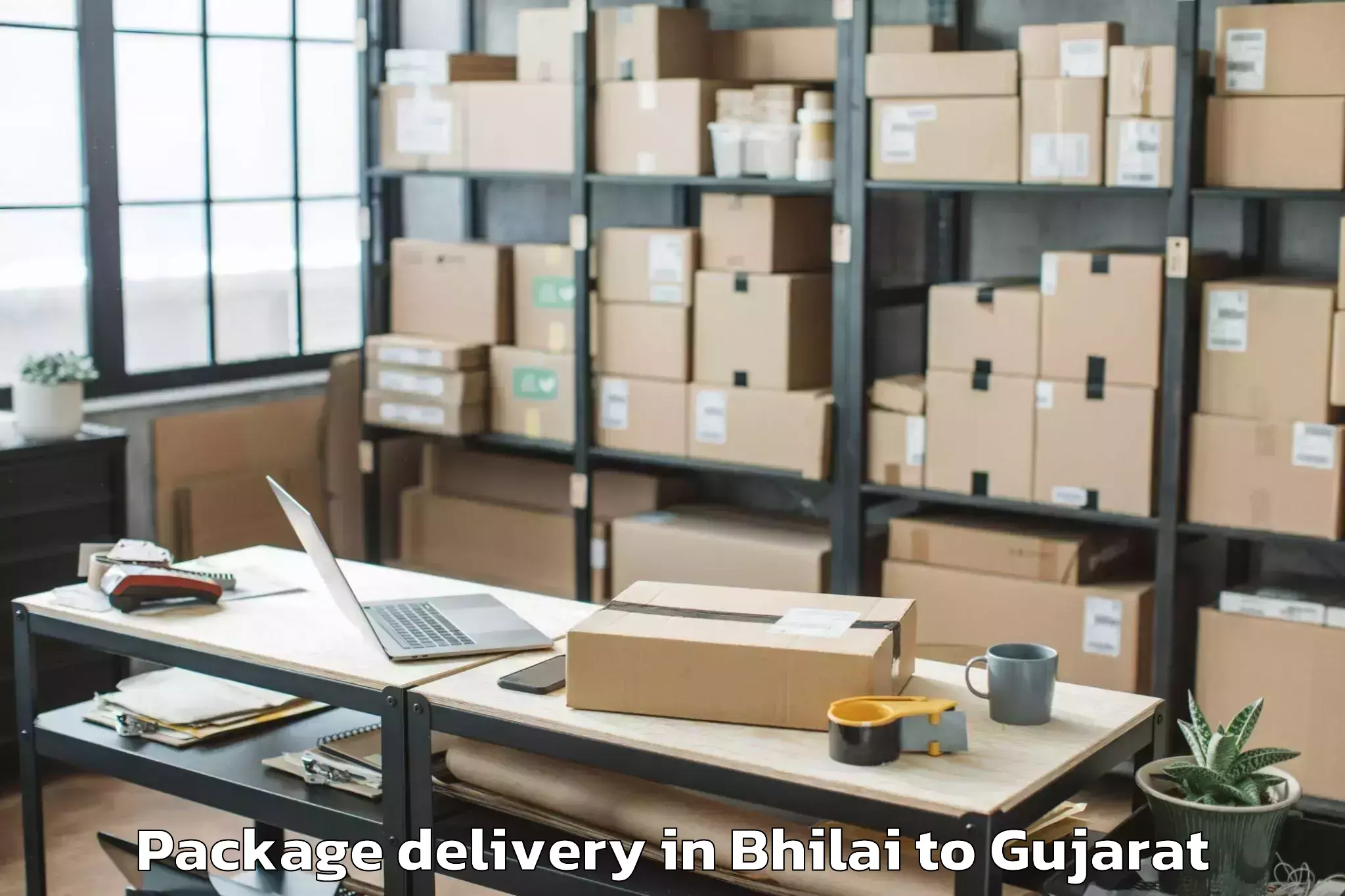 Get Bhilai to Hansot Package Delivery